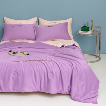 環(huán)孤簡(jiǎn)約夏涼被大豆纖維冰絲-200*230cm單夏被-字母刺繡-暮山紫+米